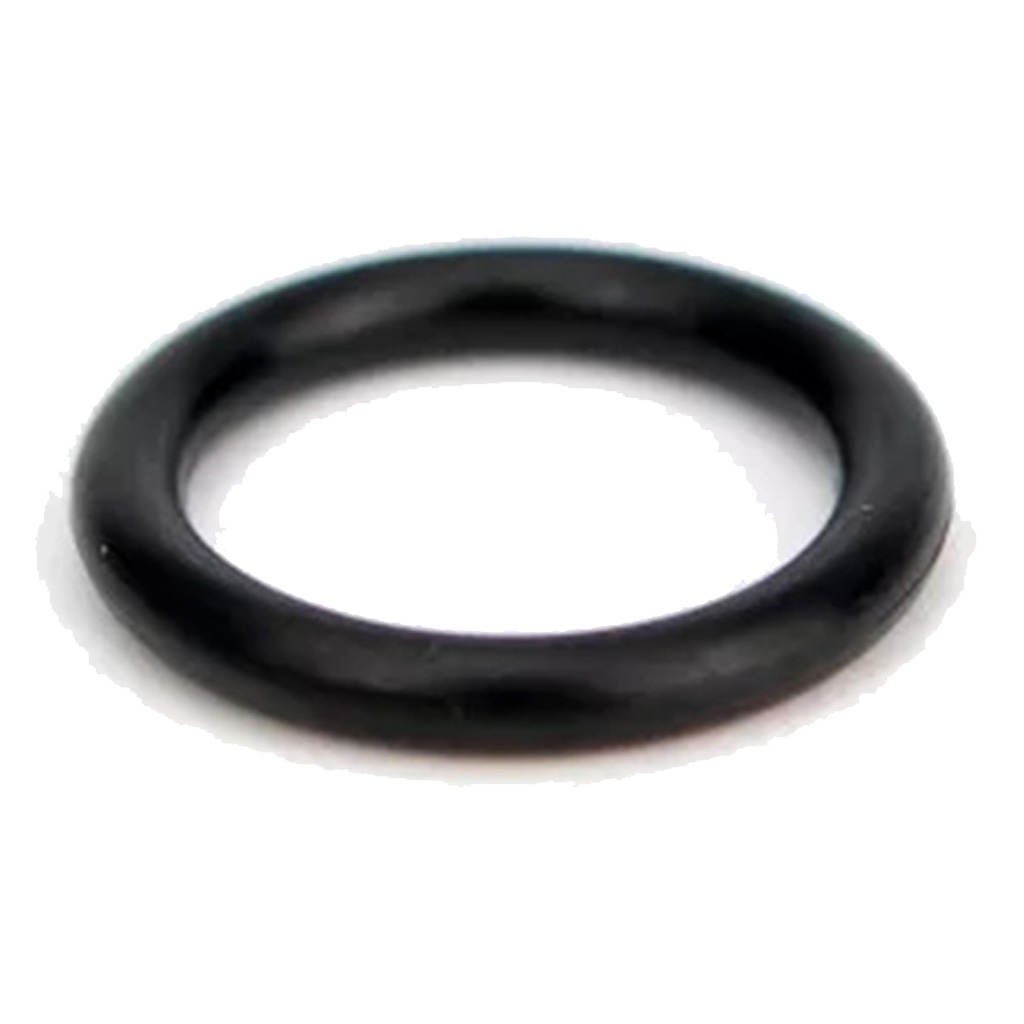 O-Ring für InstantVap 18V Original