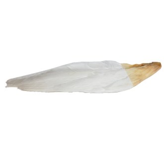 Gänseflügel