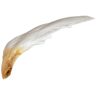 Gänseflügel