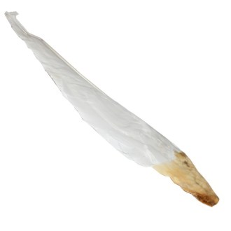 Gänseflügel