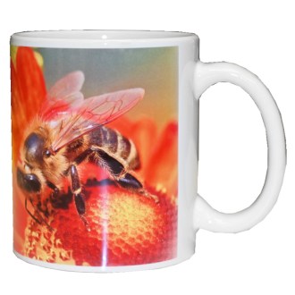 ApiSina Tasse I love Honey