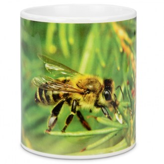 ApiSina Tasse Biene mit Tanne
