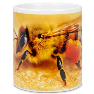 ApiSina Tasse Biene