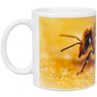ApiSina Tasse Biene