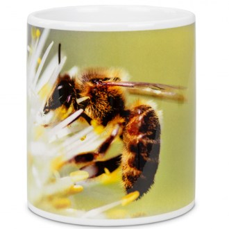 ApiSina Tasse Biene mit weißer Blume