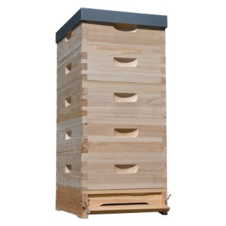 Lorenzbeute Langstroth 5 x 2/3 - 159 - 10 R. mit Varroaboden