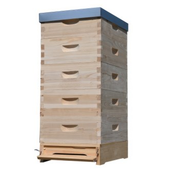 Lorenzbeute Langstroth 5 x 2/3 - 159 - 10 R. mit Varroaboden