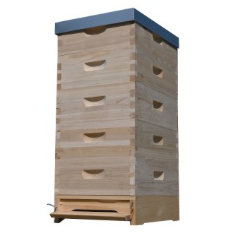 Lorenzbeute Langstroth 5 x 2/3 - 159 - 10 R. mit Varroaboden