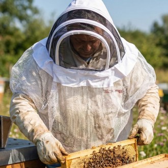 Mellarius Imkerhaube mit Schleier