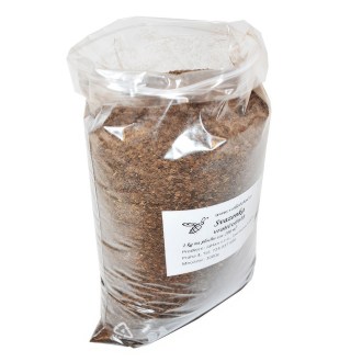 Phacelia tanacetifolia Samen für Bienen 1kg